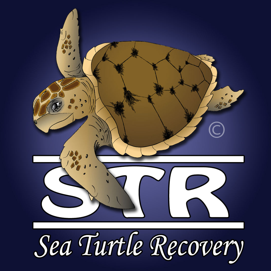 Just by rounding up your order will help us provide a sea turtles the help they need.